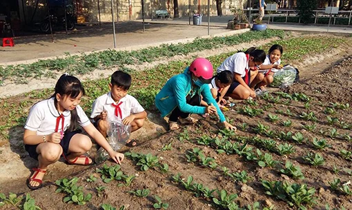 Làm gì với những ngày hè?
