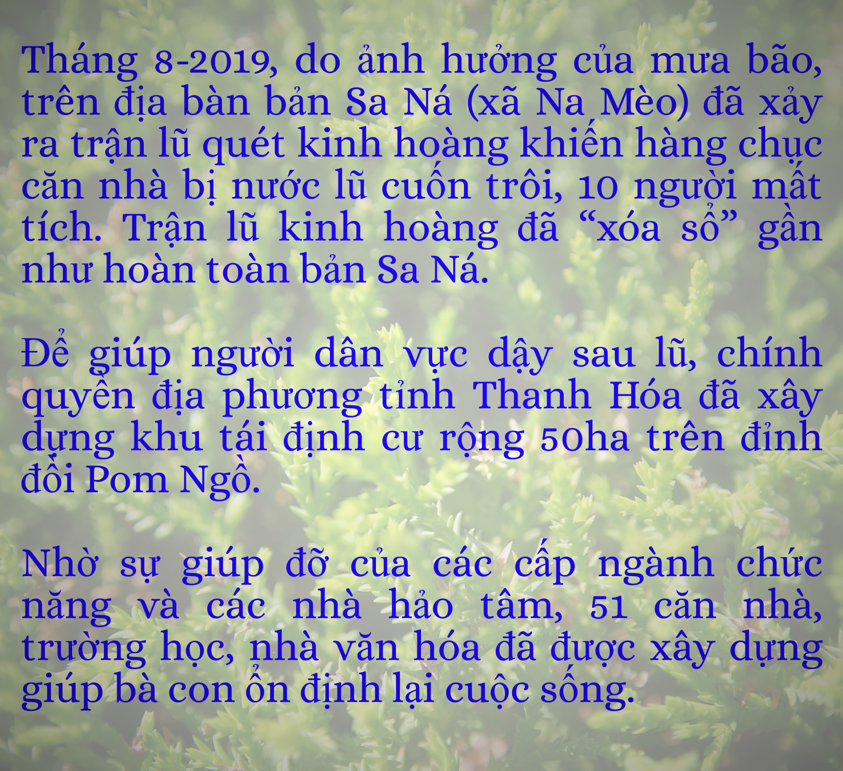 [E-Magazine] - Sa Ná hồi sinh sau lũ: Hoa đã nở trên đỉnh đồi Pom Ngồ