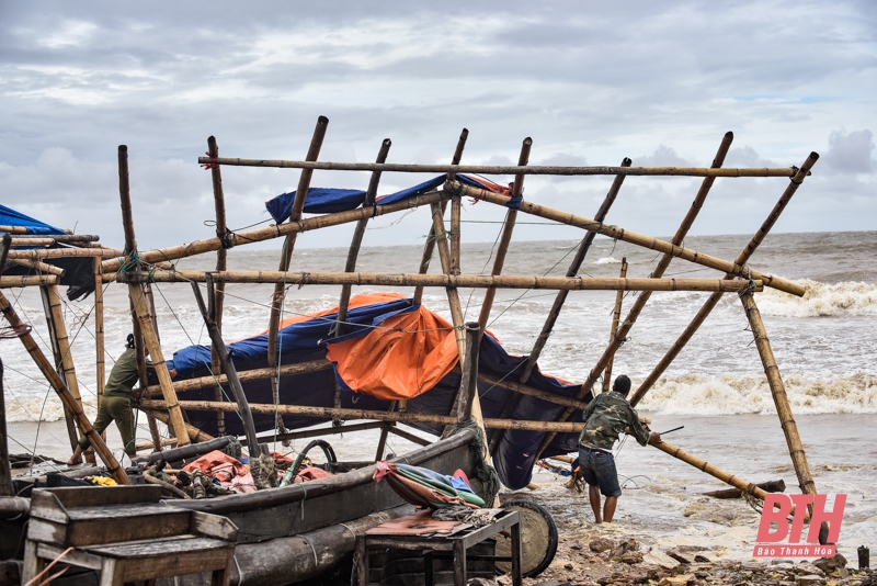 Bão số 2 đổ bộ vào Thanh Hóa gây thiệt hại không đáng kể
