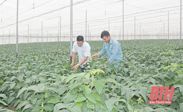 Thanh Hóa - một cực tăng trưởng mới