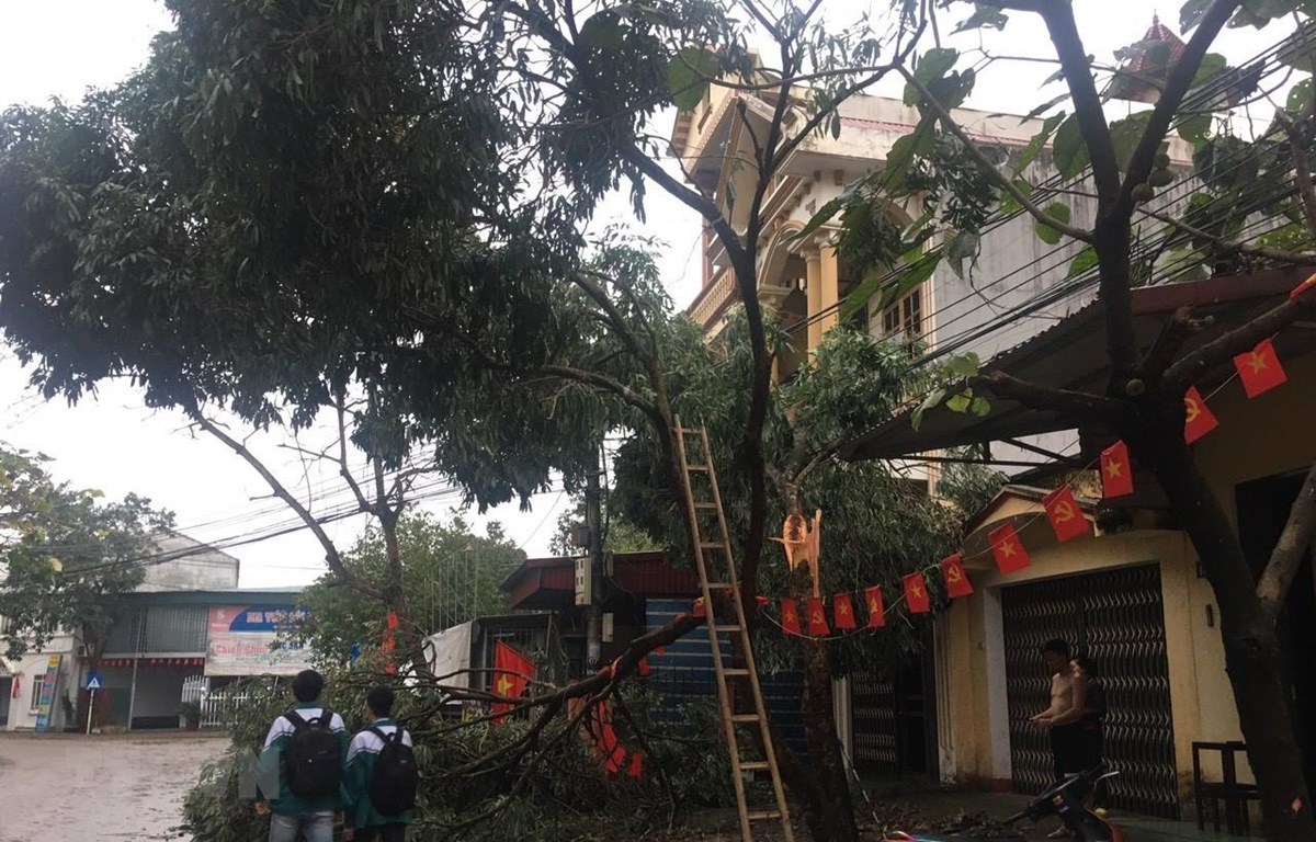 Chủ động ứng phó với diễn biến của vùng áp thấp có khả năng mạnh lên