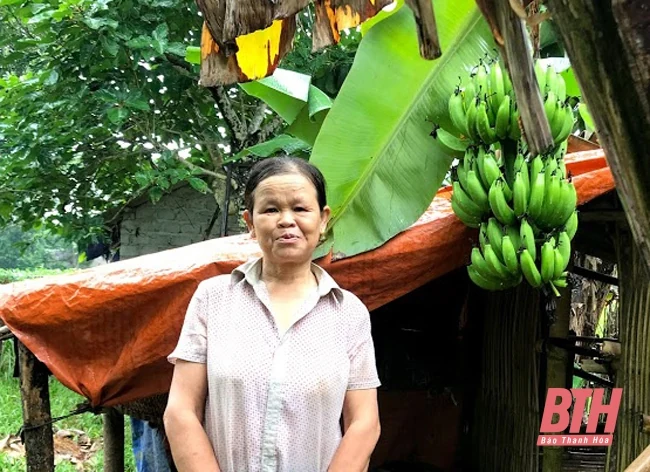 Câu chuyện của người phụ nữ nghèo vay vốn Tài chính vi mô Thanh Hóa