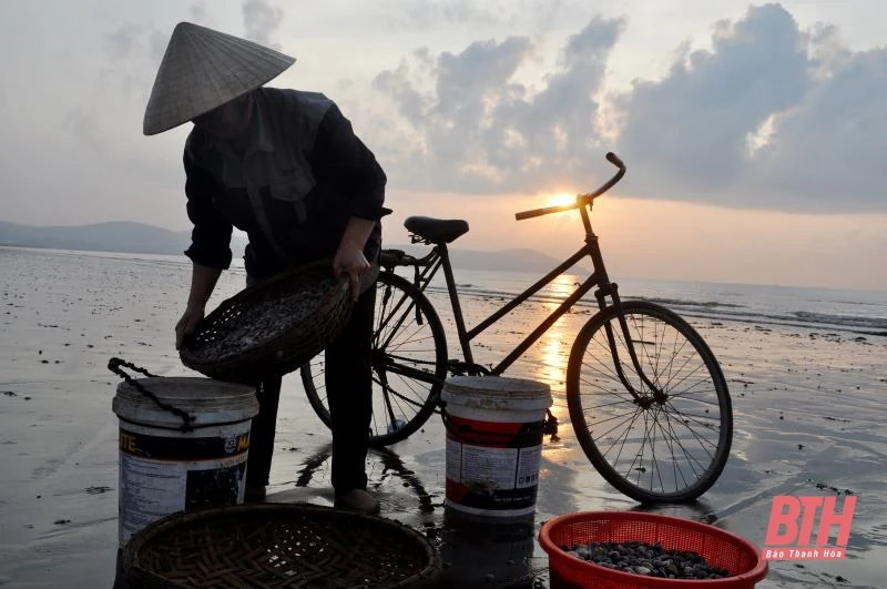 Phường Quảng Vinh (TP Sầm Sơn) sau những ngày giãn cách xã hội