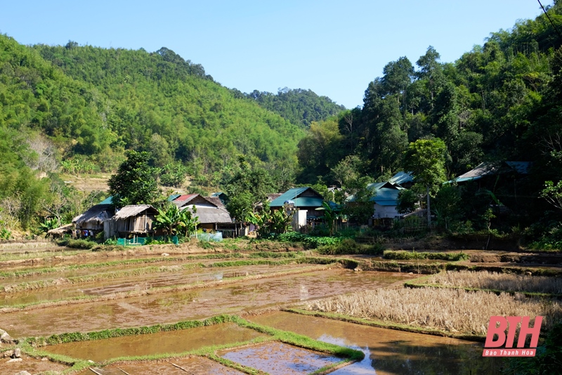 Nỗi lo lũ về