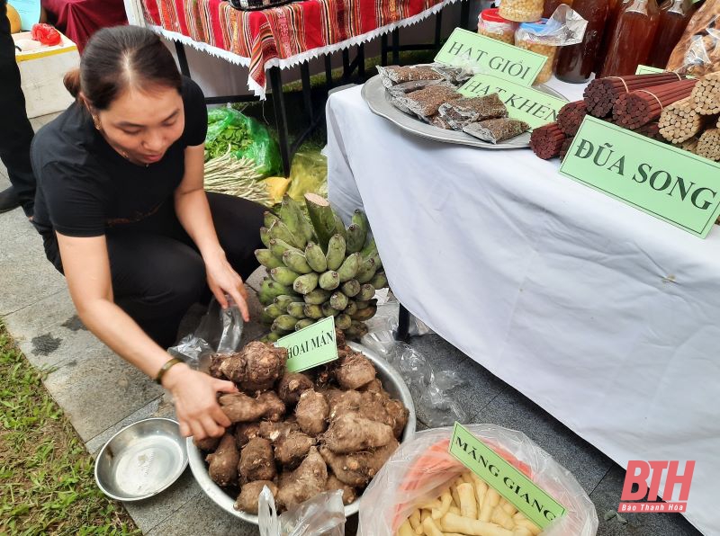 “Phụ nữ sáng tạo khởi nghiệp - Kết nối thành công”