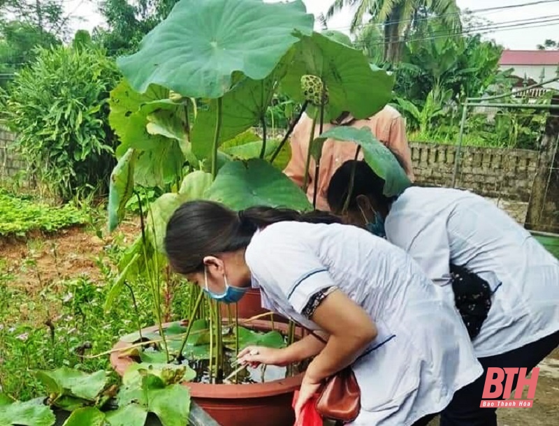 Phòng, chống bệnh sốt xuất huyết tại thị trấn Kim Tân