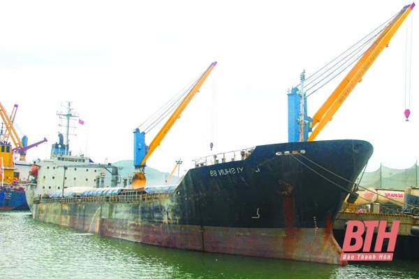 Đã có 24 chuyến tàu Container quốc tế cập Cảng Nghi Sơn trong năm 2020
