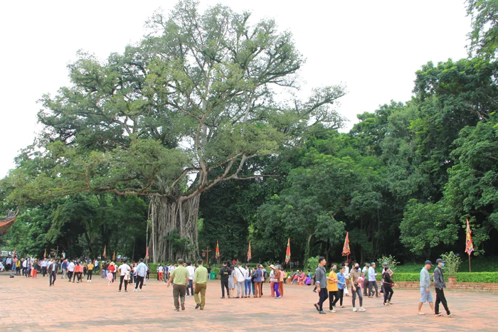 Đông đảo du khách dâng hương tại Khu di tích Lam Kinh