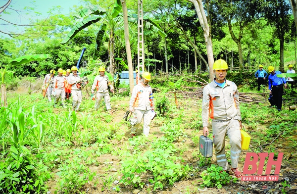 Công ty Điện lực Thanh Hóa chủ động ứng phó trong mùa mưa bão