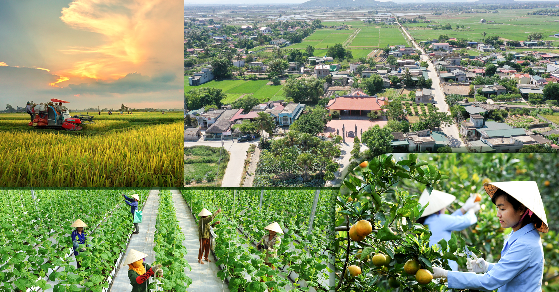 [E-Magazine]- 6 dấu ấn nổi bật của Thanh nhà cái m88 trong nhiệm kỳ 2015-2020