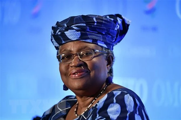 Mỹ không ủng hộ ứng cử viên Nigeria làm Tổng Giám đốc WTO