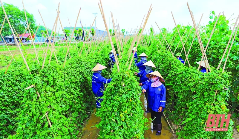 Kết quả thực hiện 5 chương trình trọng tâm, 4 khâu đột phá