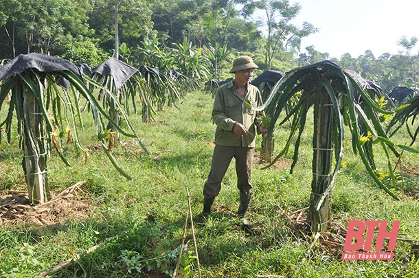 Phát huy vai trò người có uy tín trong đồng bào dân tộc thiểu số ở huyện Bá Thước