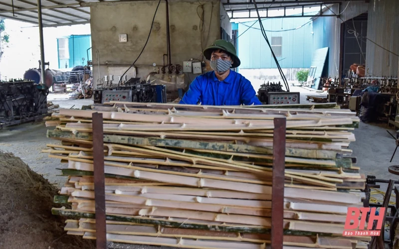 Khởi nghiệp với các sản phẩm từ tre Việt