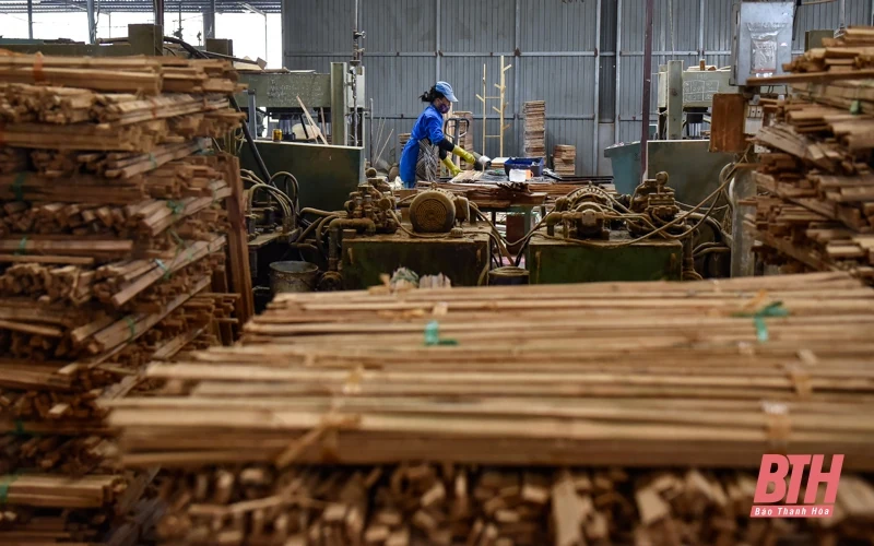 Khởi nghiệp với các sản phẩm từ tre Việt