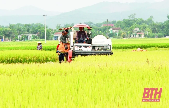 Hiệu quả chính sách hỗ trợ vay vốn chương trình giảm tổn thất trong nông nghiệp