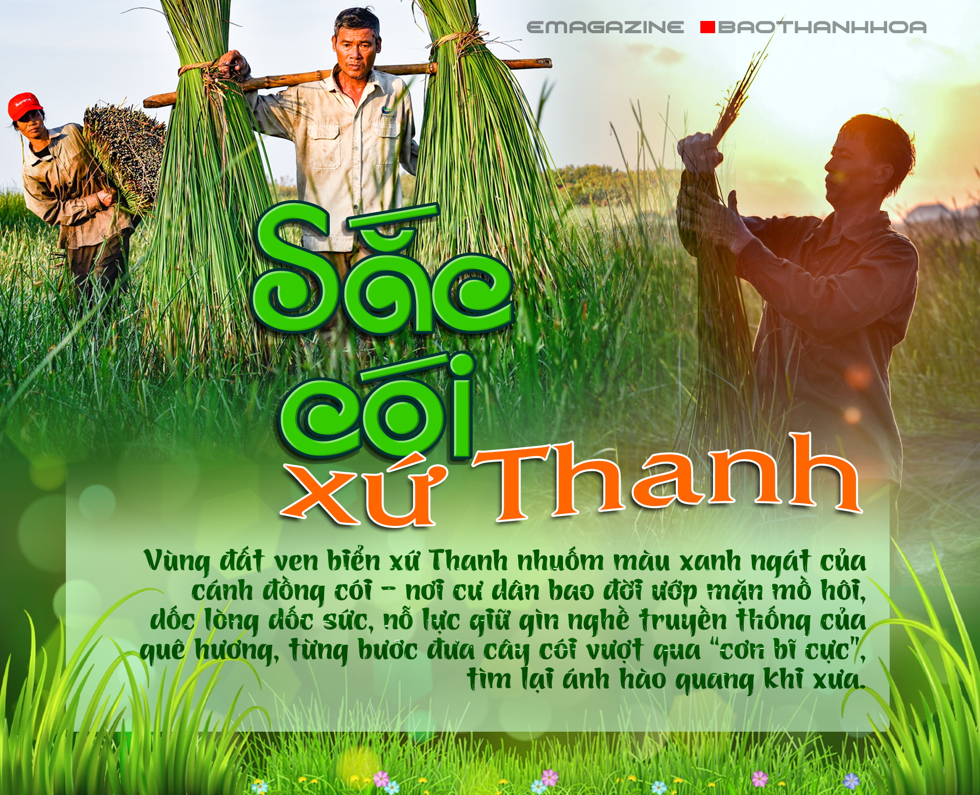 [E-Magazine] - Sắc cói xứ Thanh