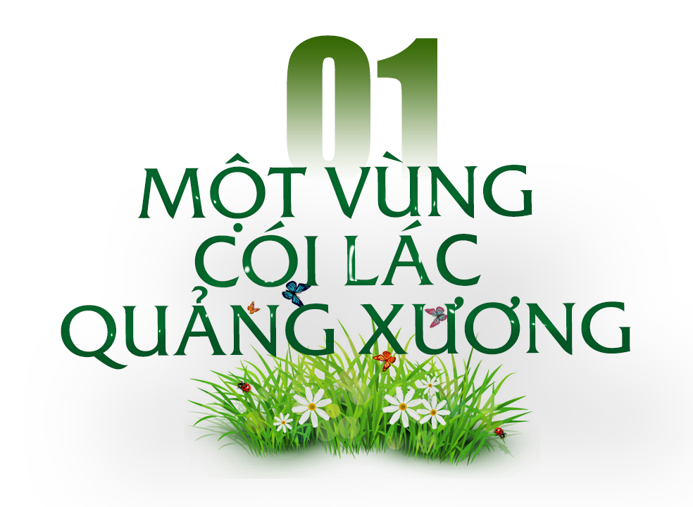 [E-Magazine] - Sắc cói xứ Thanh