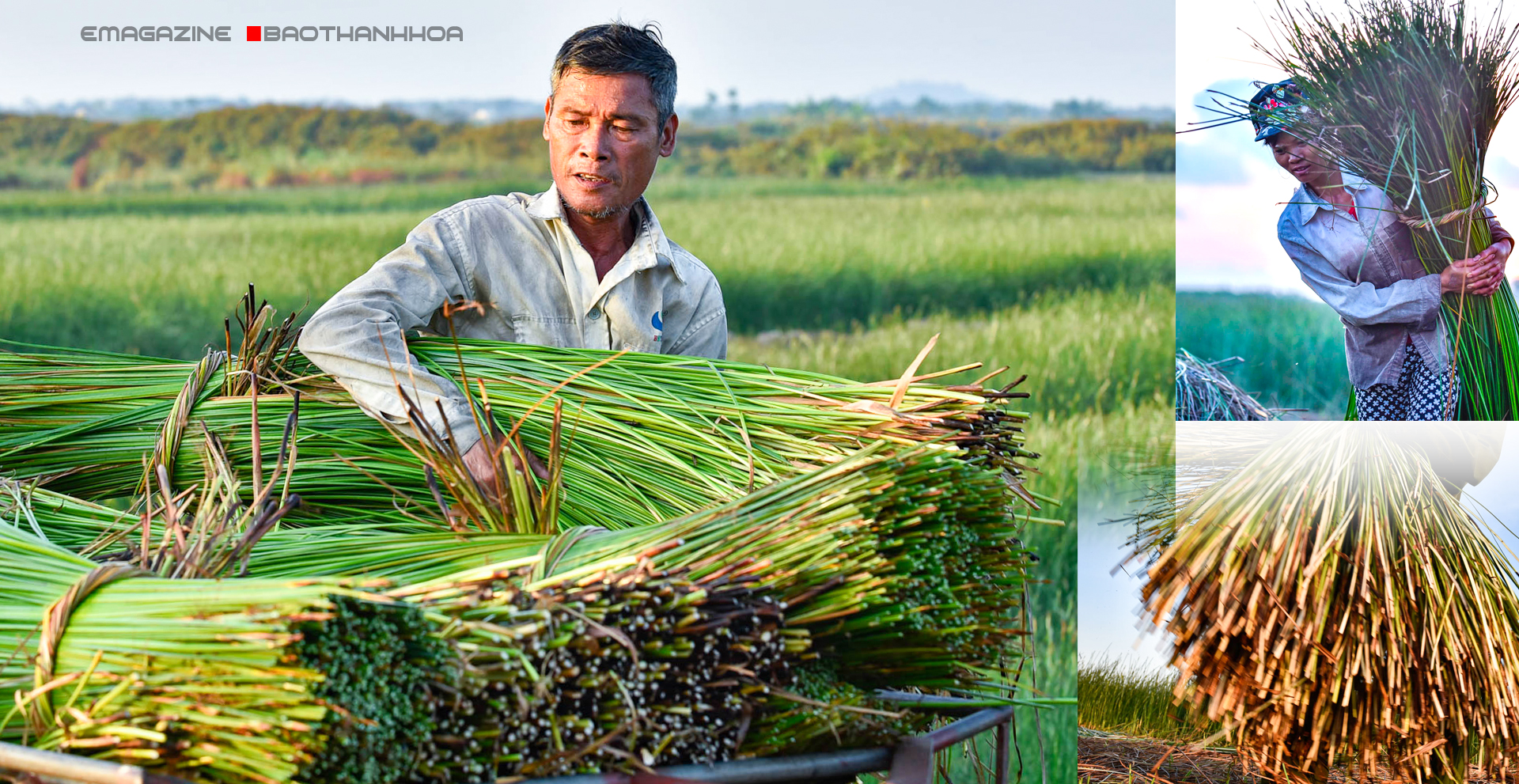 [E-Magazine] - Sắc cói xứ Thanh