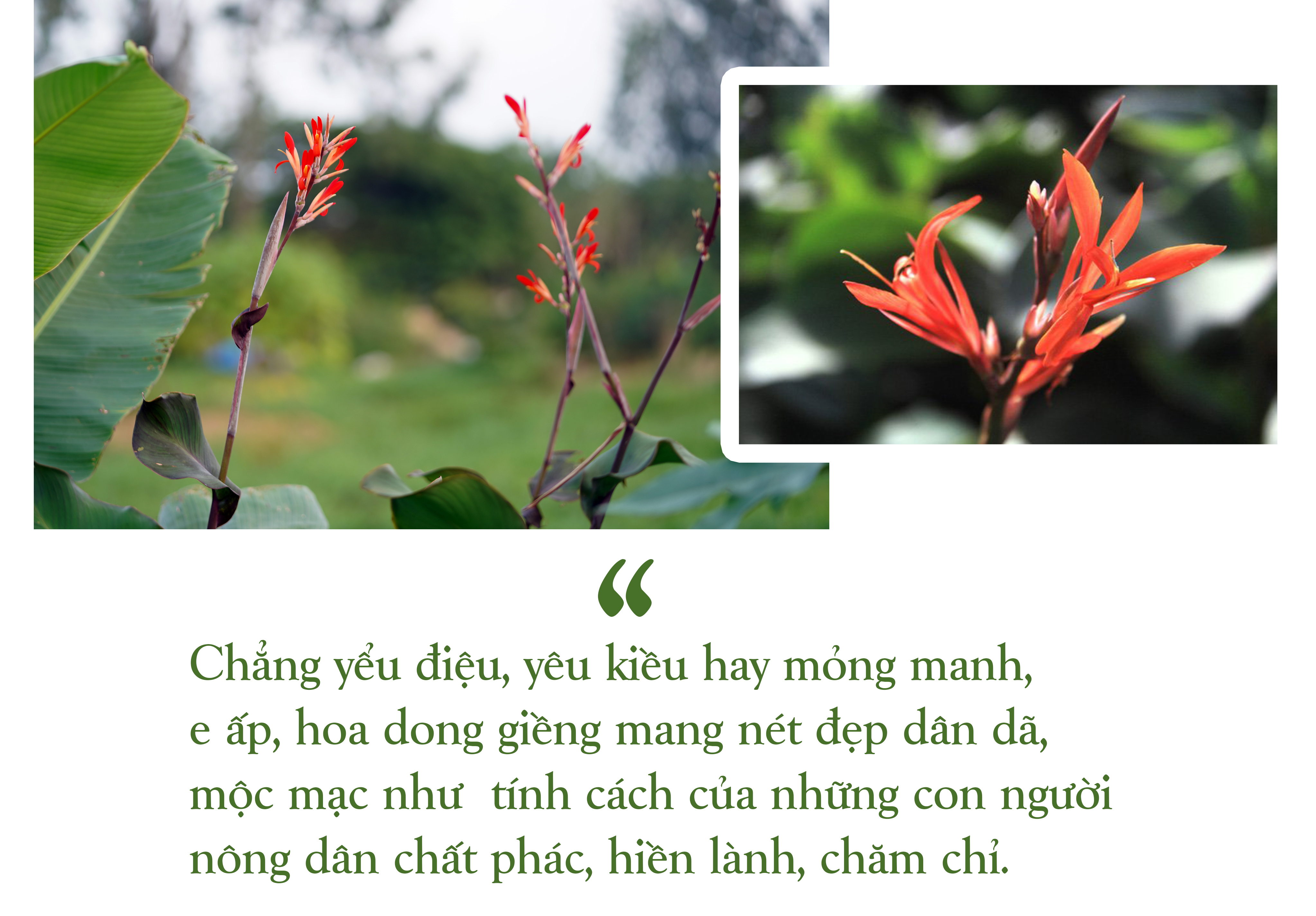 [E-Magazine] - Xao xuyến… những mùa nhà cái m88
