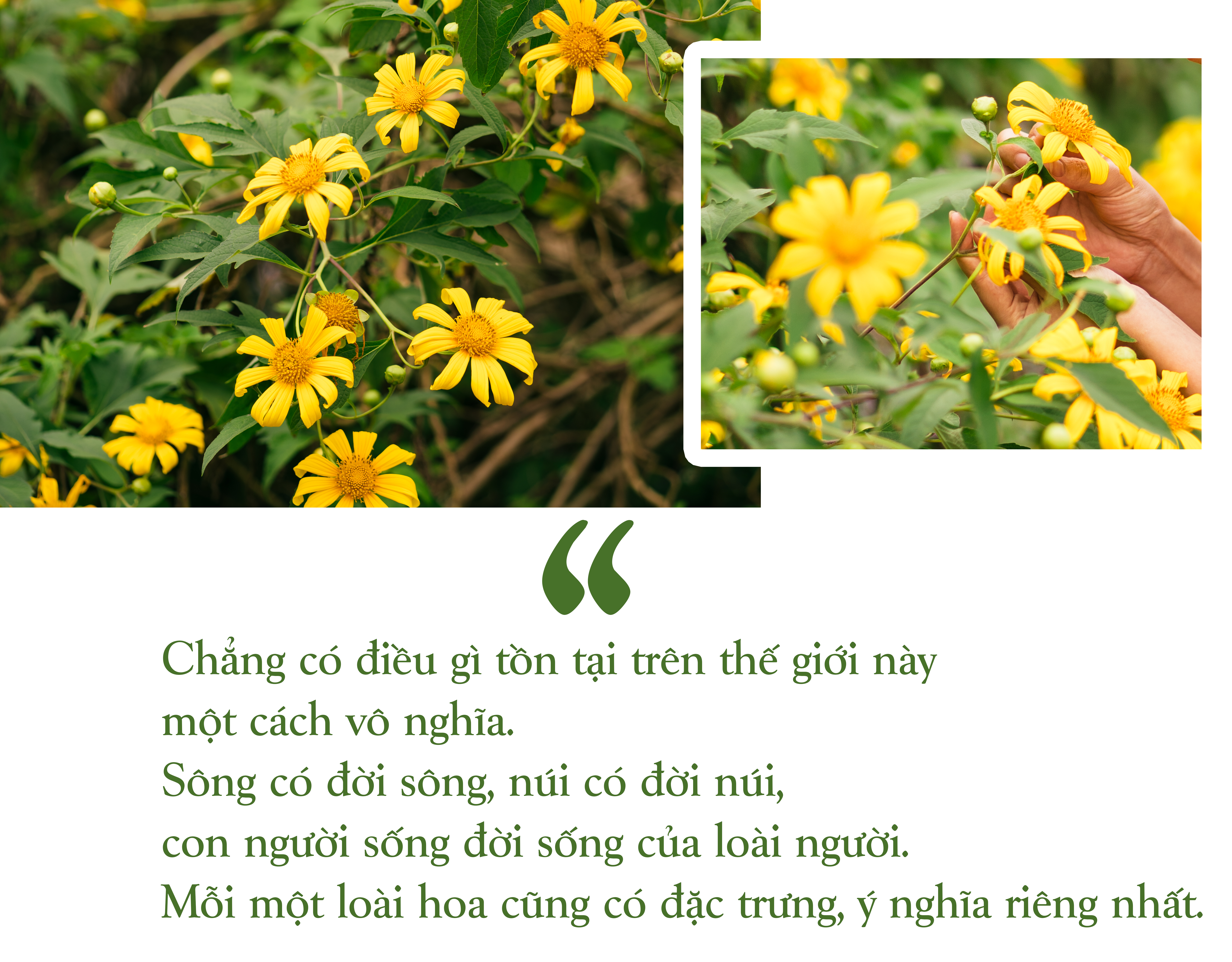[E-Magazine] - Xao xuyến… những mùa nhà cái m88