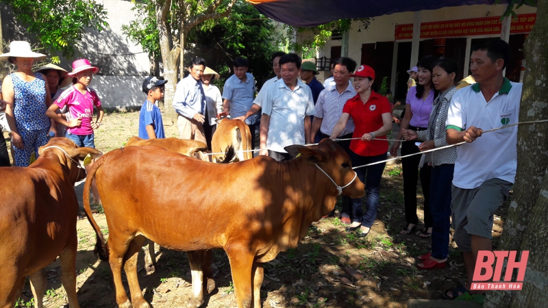 Hiệu quả các mô hình sinh kế cho hộ nghèo có hoàn cảnh khó khăn ở Quảng Xương