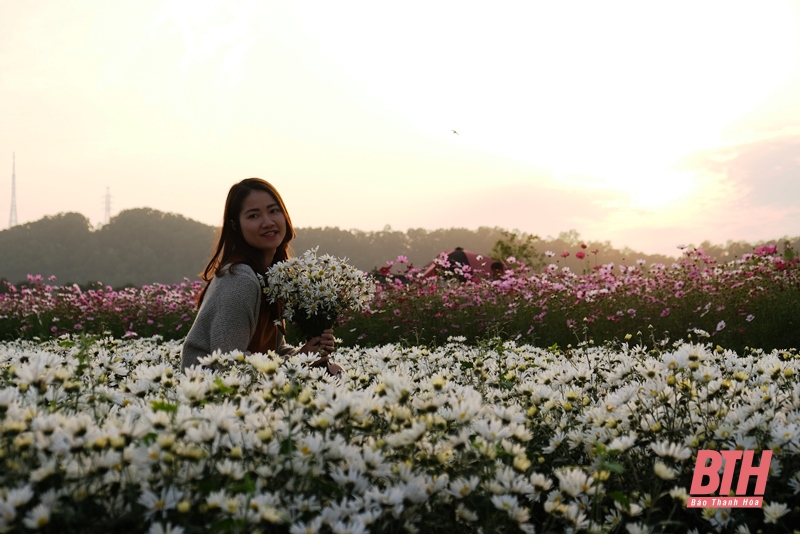 Mê mải trên cánh đồng hoa ven sông Tào Xuyên