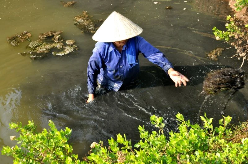 Chân đạp bùn “săn” vẹm nơi cửa biển
