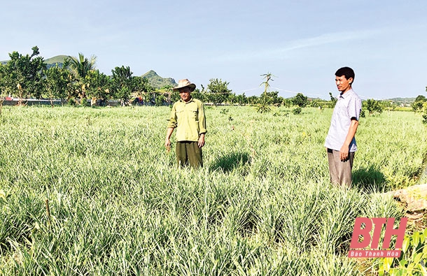 Đảng bộ huyện Hà Trung đưa nghị quyết vào cuộc sống