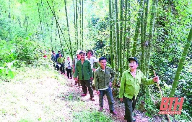 Tổ chức kiểm tra, giám sát việc sử dụng tiền dịch vụ môi trường rừng của các chủ rừng tại Thanh Hóa