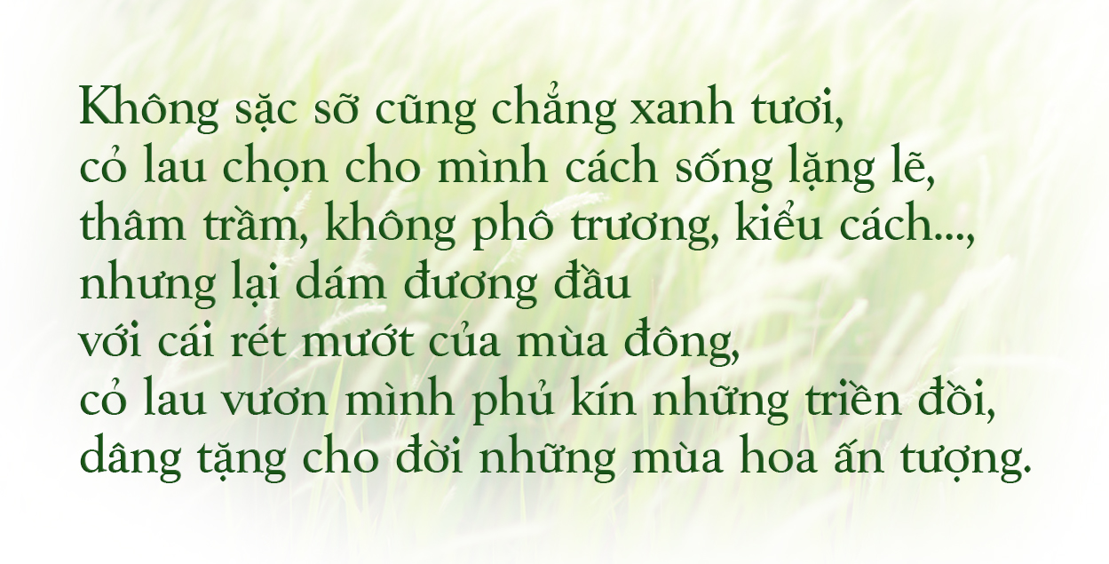 [E-Magazine] - Có một mùa cỏ lau như thế!