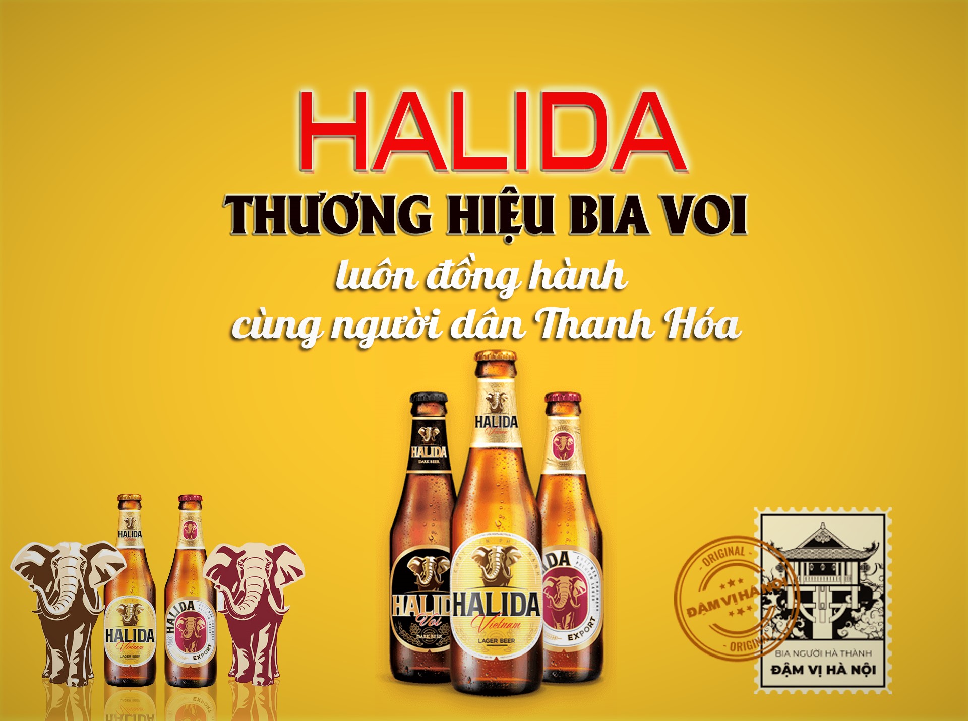 [E-Magazine] - Halida - thương hiệu Bia Voi luôn đồng hành cùng người dân Thanh Hóa