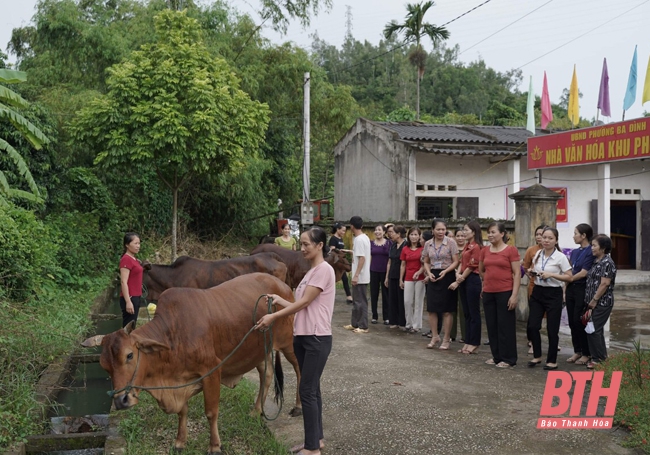 Hiệu quả từ việc nhân rộng các mô hình giảm nghèo của Hội LHPN tỉnh