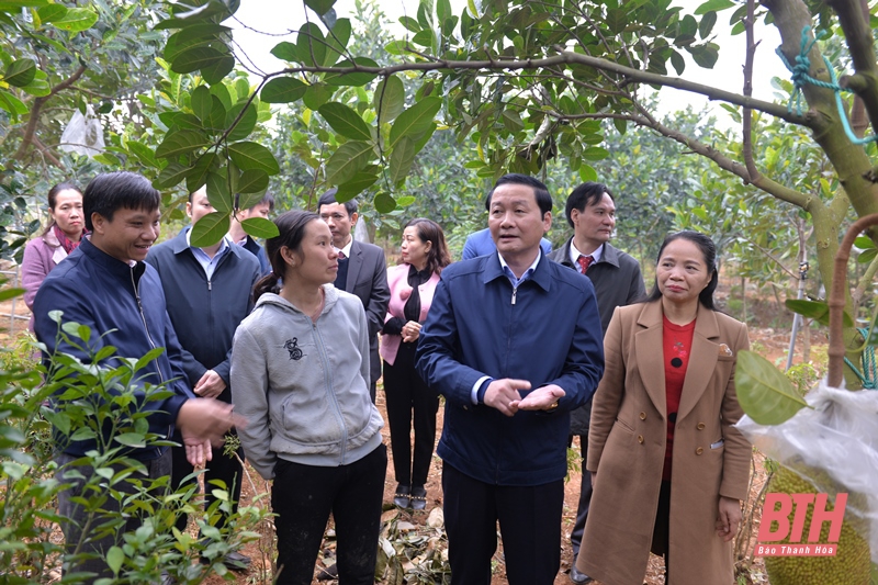 Chủ tịch UBND tỉnh Đỗ Minh Tuấn khảo sát Khu di tích Chiến khu Ngọc Trạo và một số mô hình trồng cây ăn quả trên địa bàn huyện Thạch Thành