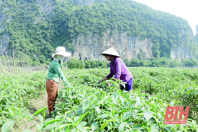 Bước khởi đầu trong thực hiện nghị quyết đại hội đảng bộ các cấp ở huyện Cẩm Thủy