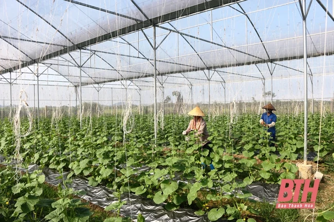 10 năm thực hiện Chiến lược phát triển kinh tế - xã hội 2011-2020 và tầm nhìn đến năm 2030