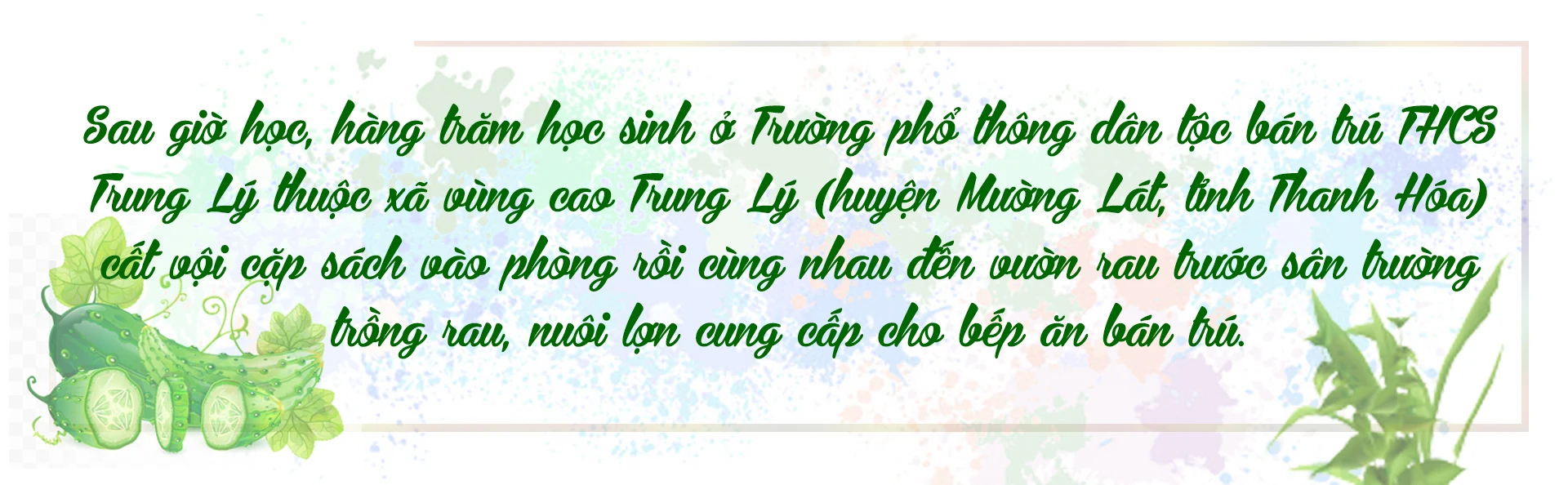 [E-Magazine] - Vườn dang nhap m88 của học sinh vùng cao Xứ Thanh