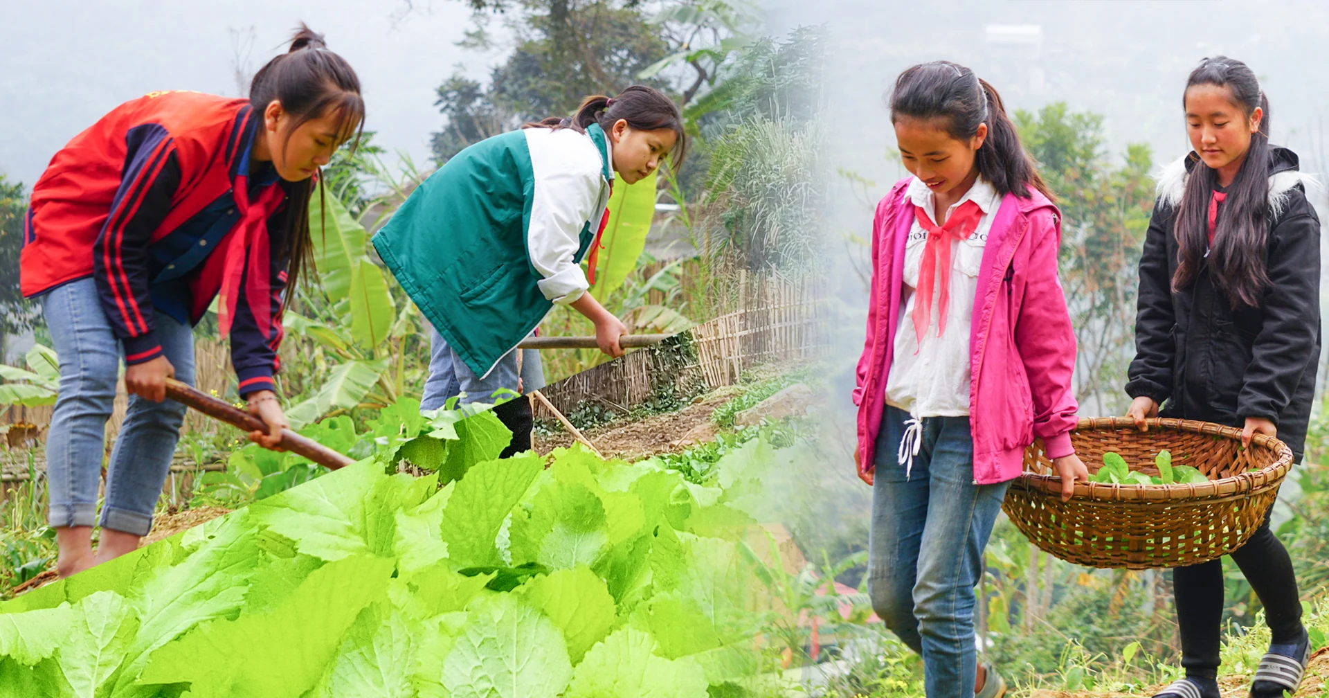 [E-Magazine] - Vườn dang nhap m88 của học sinh vùng cao Xứ Thanh