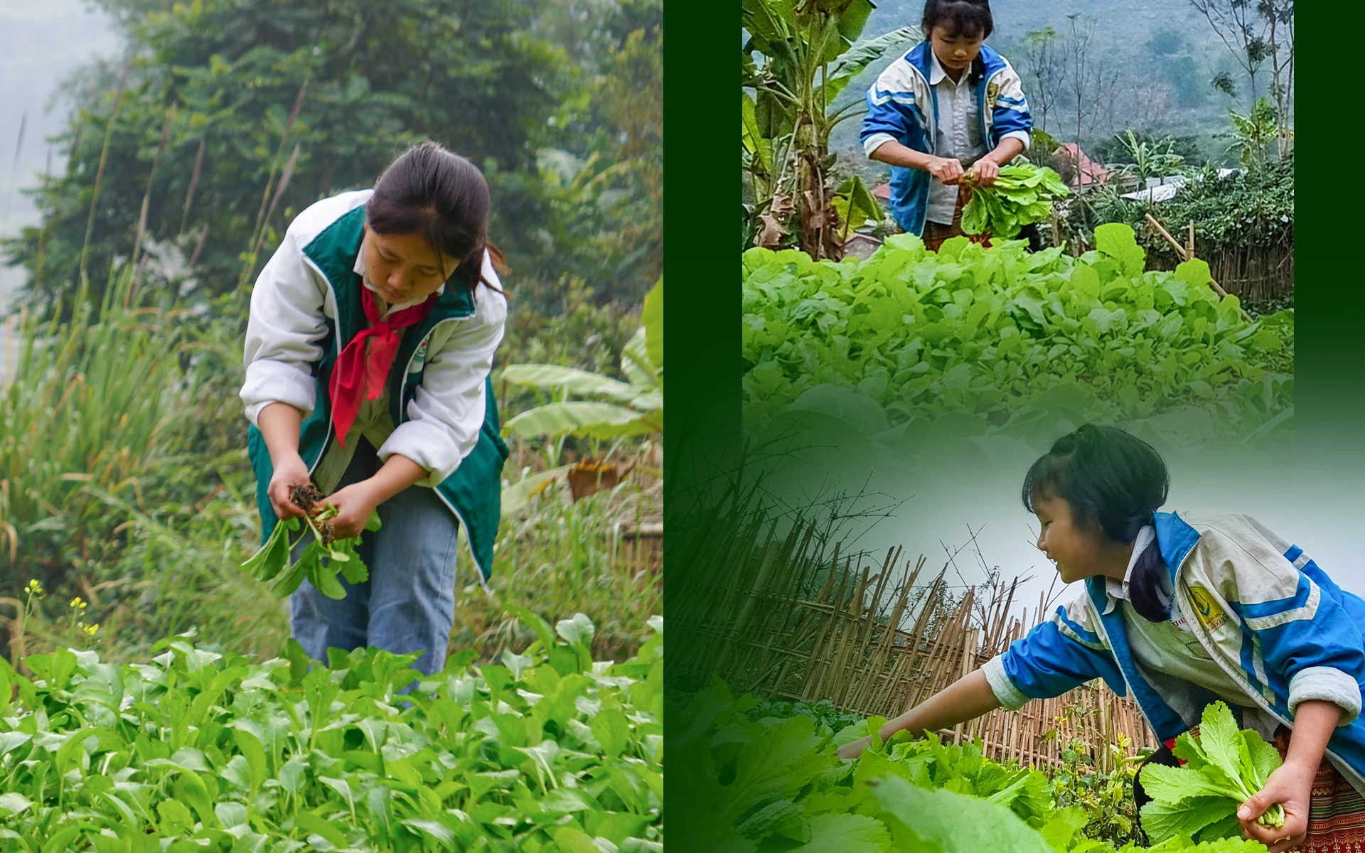[E-Magazine] - Vườn dang nhap m88 của học sinh vùng cao Xứ Thanh