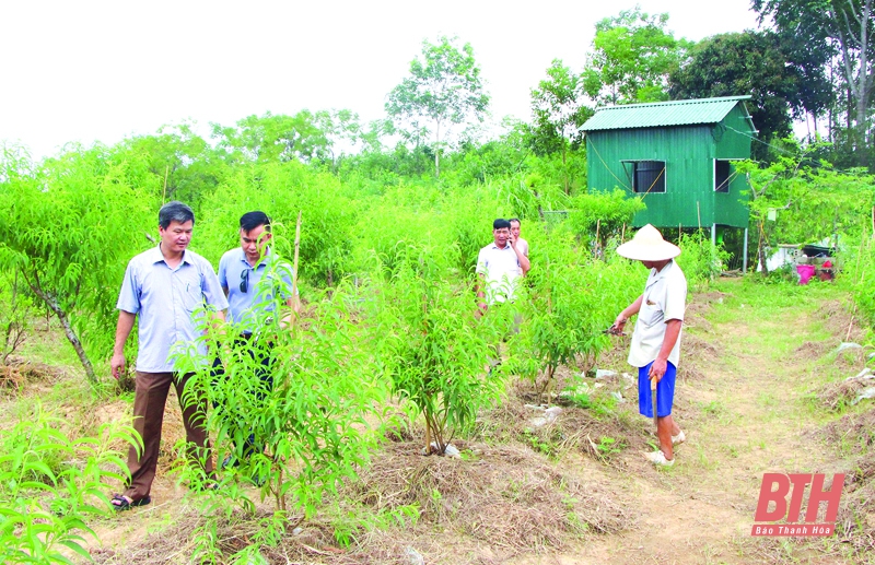 Đảng bộ huyện Như Thanh lãnh đạo Nhân dân phát triển kinh tế