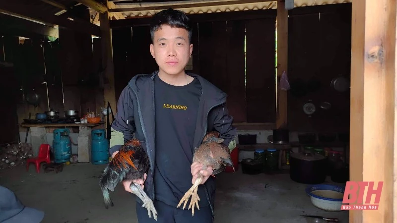 Độc đáo “Tết con gà” của đồng bào Mông