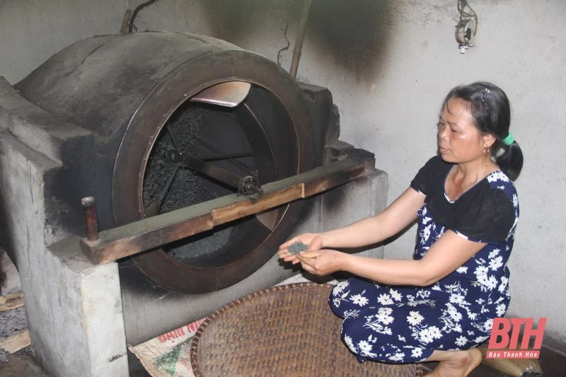 Chè búp sạch Bình Sơn: Từ thu hoạch đến chế biến
