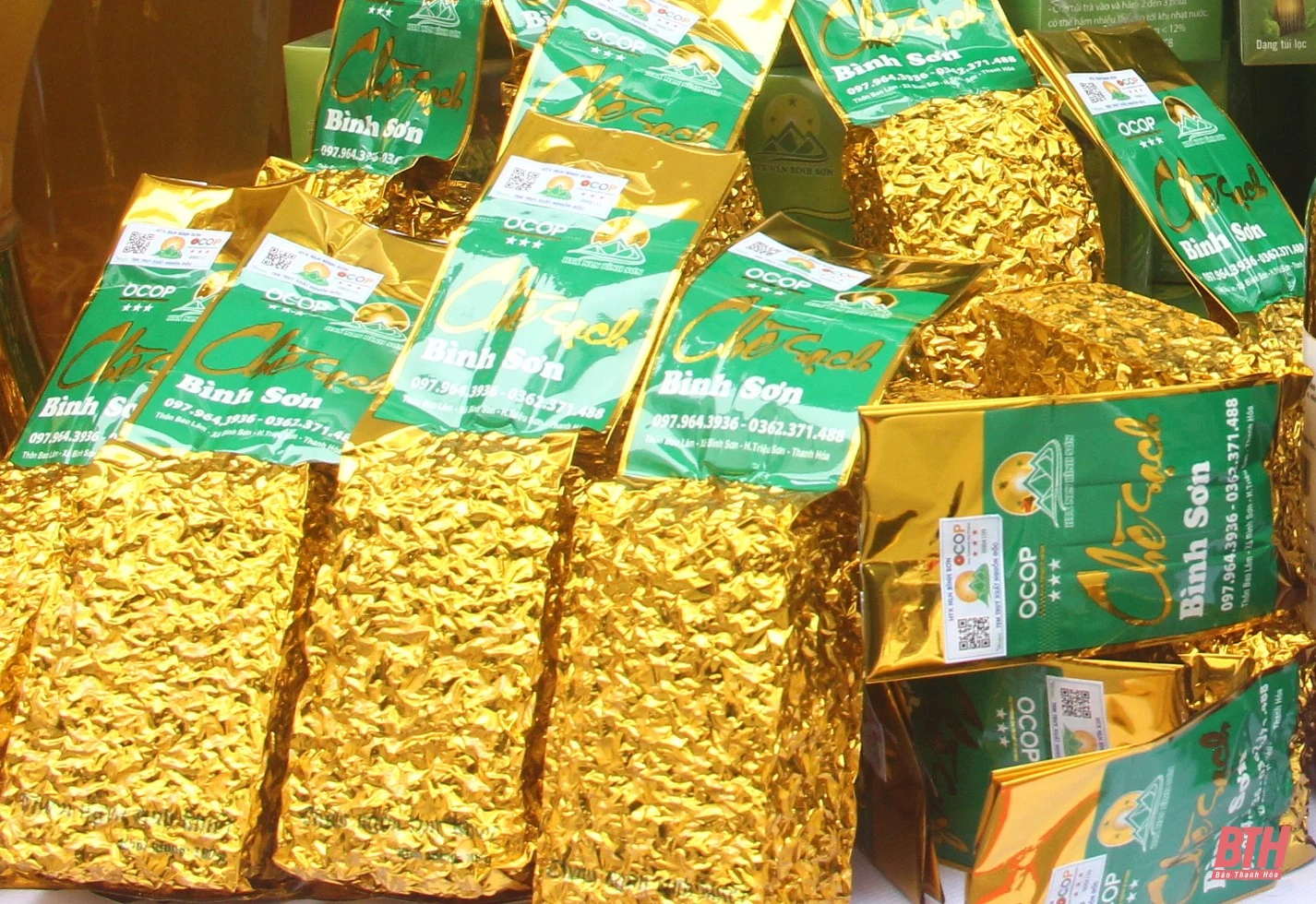 Chè búp sạch Bình Sơn: Từ thu hoạch đến chế biến