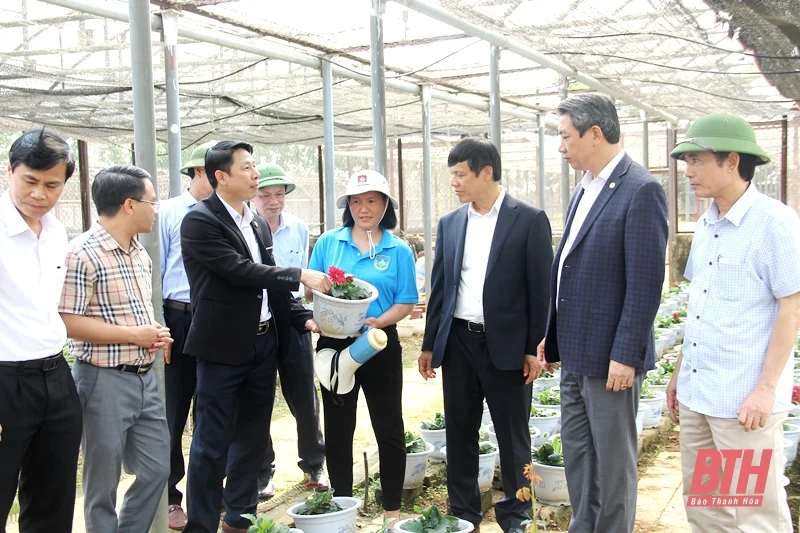 Phó Chủ tịch UBND tỉnh Lê Đức Giang làm việc với Viện Nông nghiệp Thanh Hóa