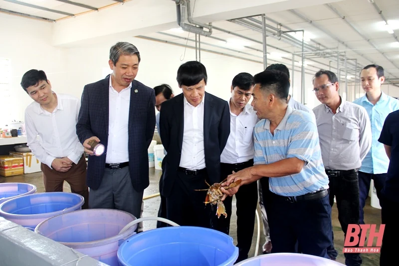 Phó Chủ tịch UBND tỉnh Lê Đức Giang làm việc với Viện Nông nghiệp Thanh Hóa