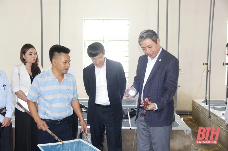 Phó Chủ tịch UBND tỉnh Lê Đức Giang làm việc với Viện Nông nghiệp Thanh Hóa