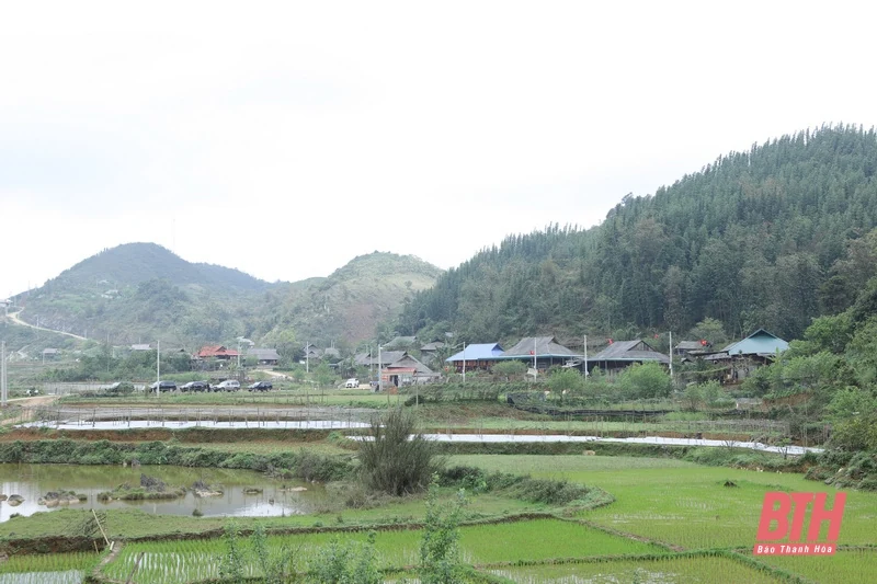 Bá Thước cần phát triển nhanh hơn, mạnh hơn, nhanh chóng thoát khỏi huyện nghèo và trở thành huyện khá ở khu vực miền núi của tỉnh