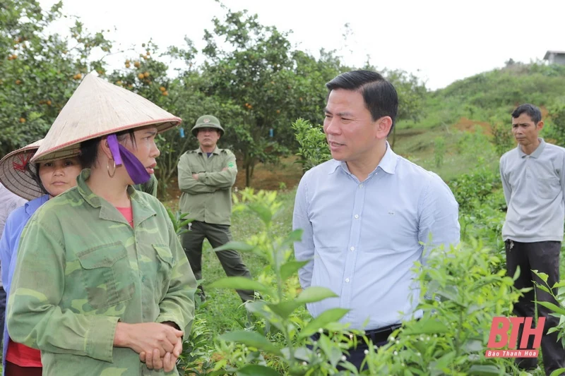 Bá Thước cần phát triển nhanh hơn, mạnh hơn, nhanh chóng thoát khỏi huyện nghèo và trở thành huyện khá ở khu vực miền núi của tỉnh