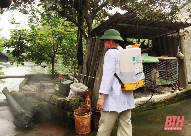 Huy động hơn 21.000 lít hóa chất phòng, chống bệnh Viêm da nổi cục trên trâu, bò
