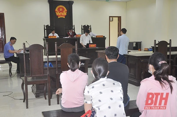 Đằng sau những vụ án về ma túy